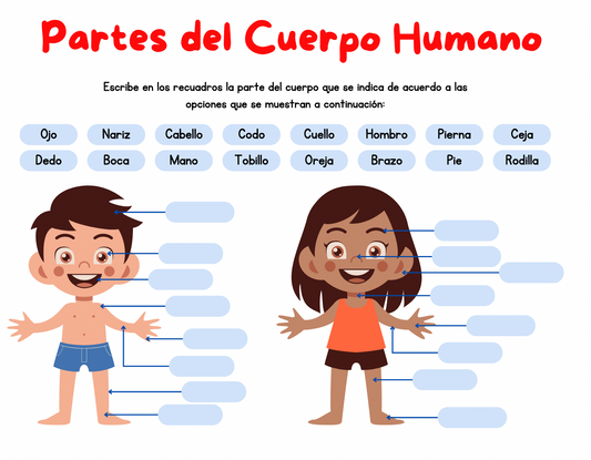 Partes del cuerpo humano